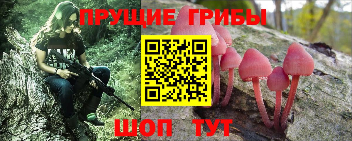 Псилоцибиновые грибы мухоморы  Вход с VPN  наркошоп  Владимир  Псилоцибиновые грибы ЛСД 