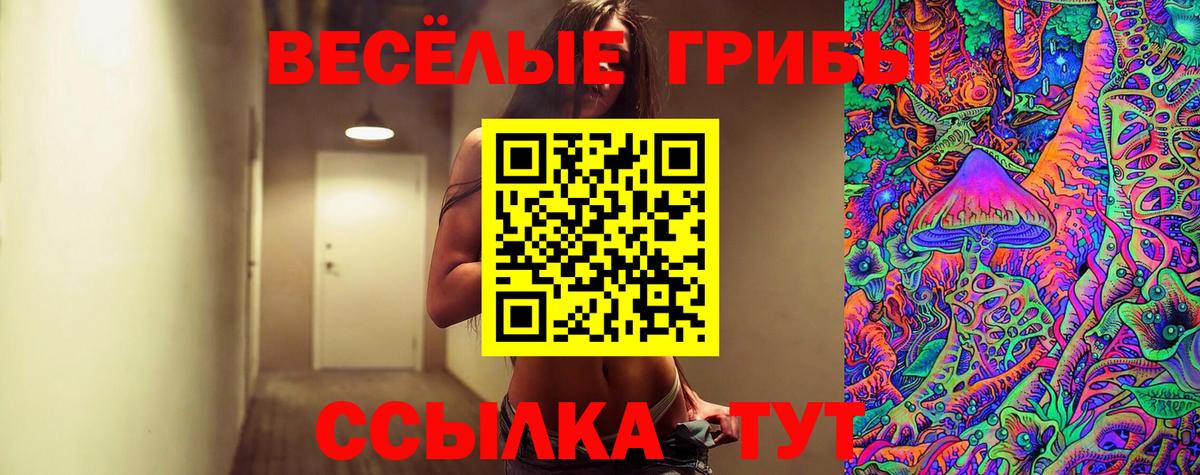 Псилоцибиновые грибы мицелий Владимир